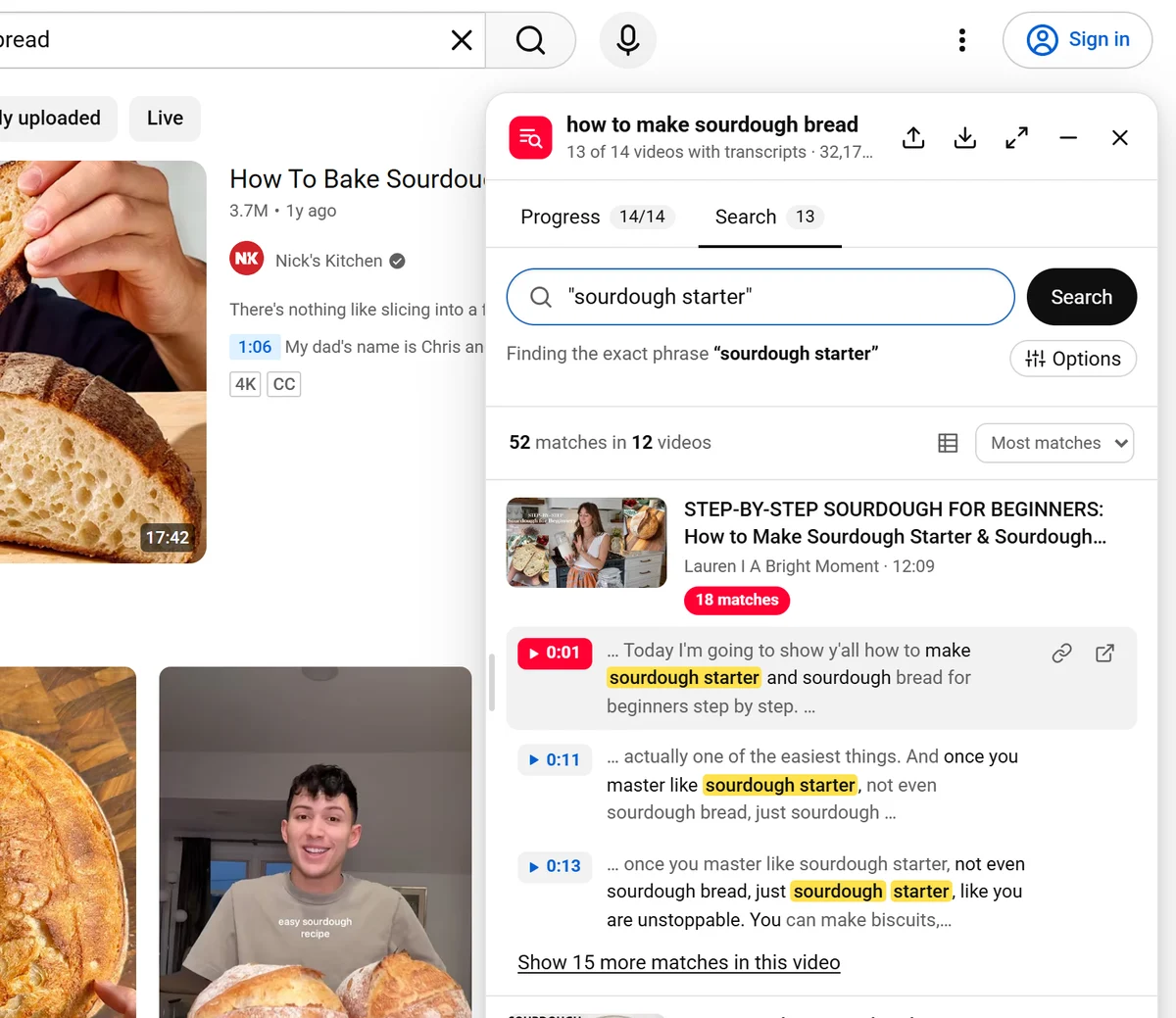 Search results with the phrase sourdough starter highlighted and timestamps